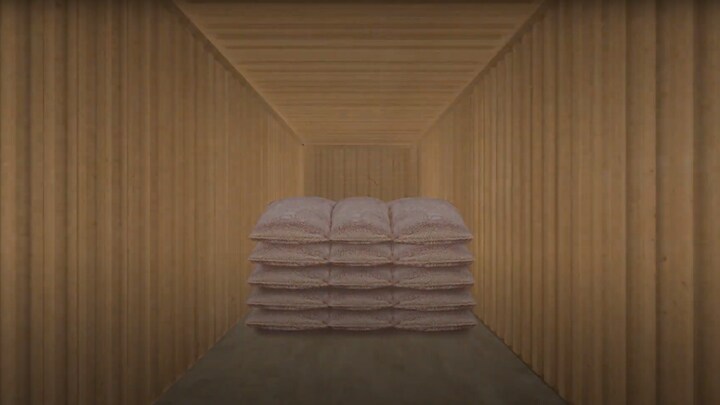 Container loaded with cocoa bags