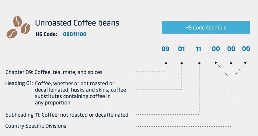 coffee bean