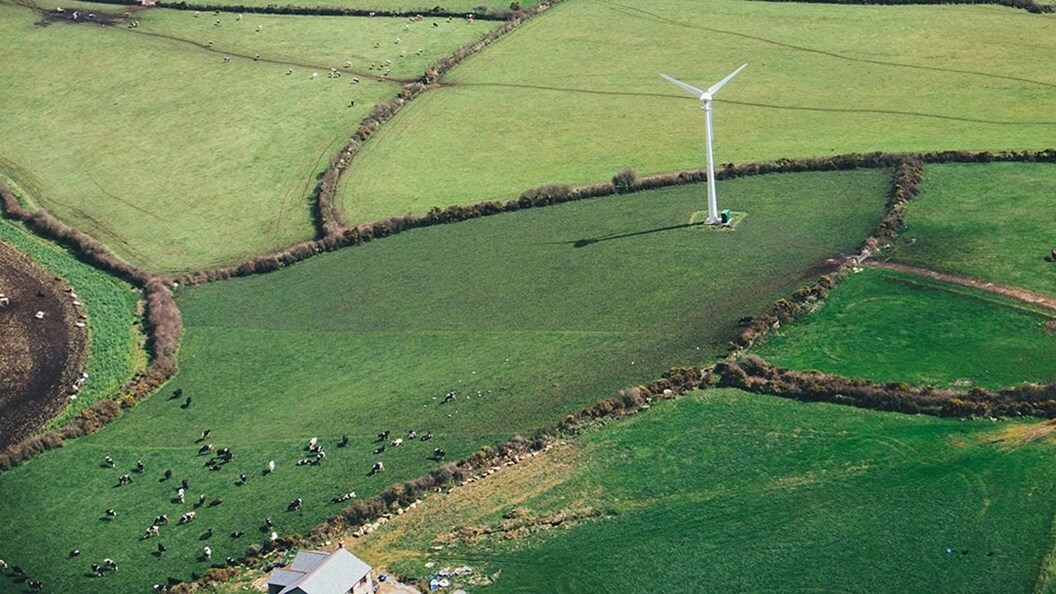 A green field with one white wind turbine used for renewables