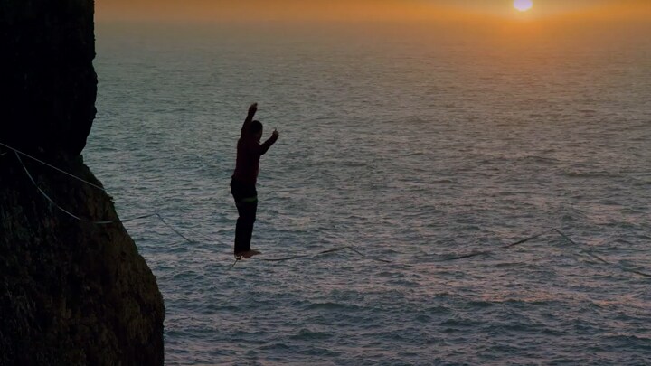 Maersk Customs Navigator
