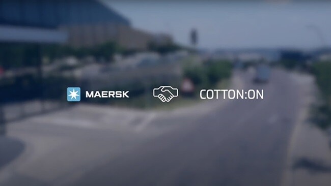 Expert at cotton