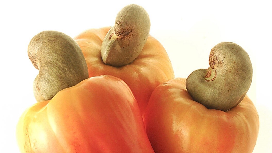 A cluster of raw cashew nuts.