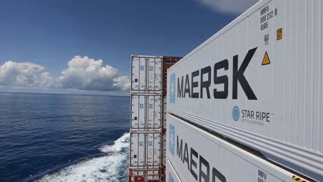 Hand selecting fresh bananas in a grocery store produce section