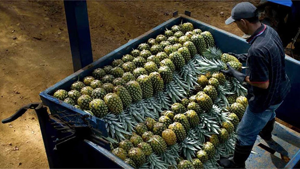 banana pineapple