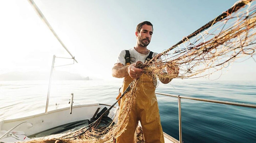 sea food