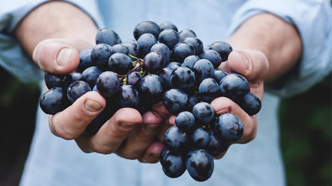 Fruits